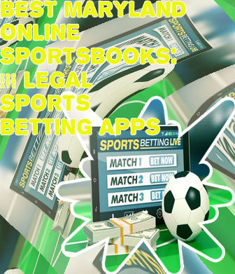 Best betting sites for beginners