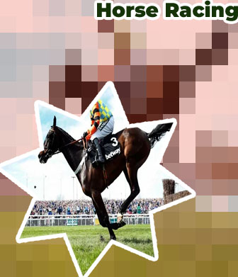 Horse odds